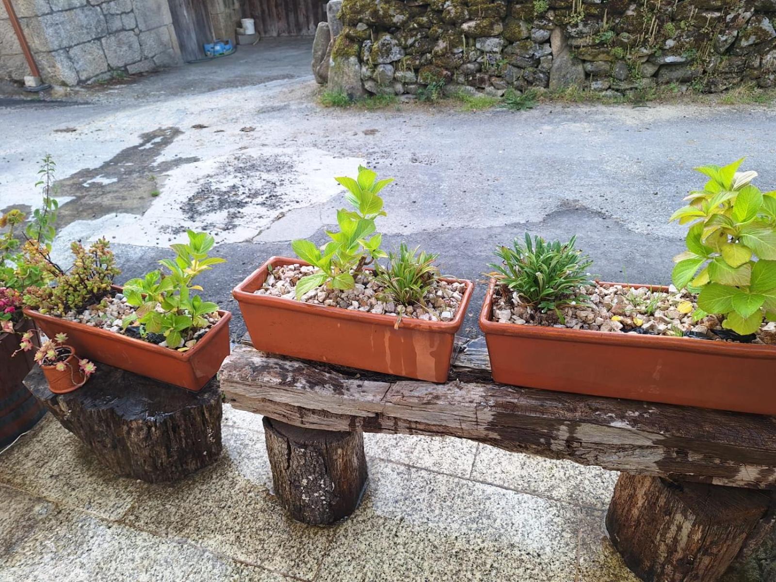 Pension O Corazon Da Ribeira Sacra La Teijeira Eksteriør bilde