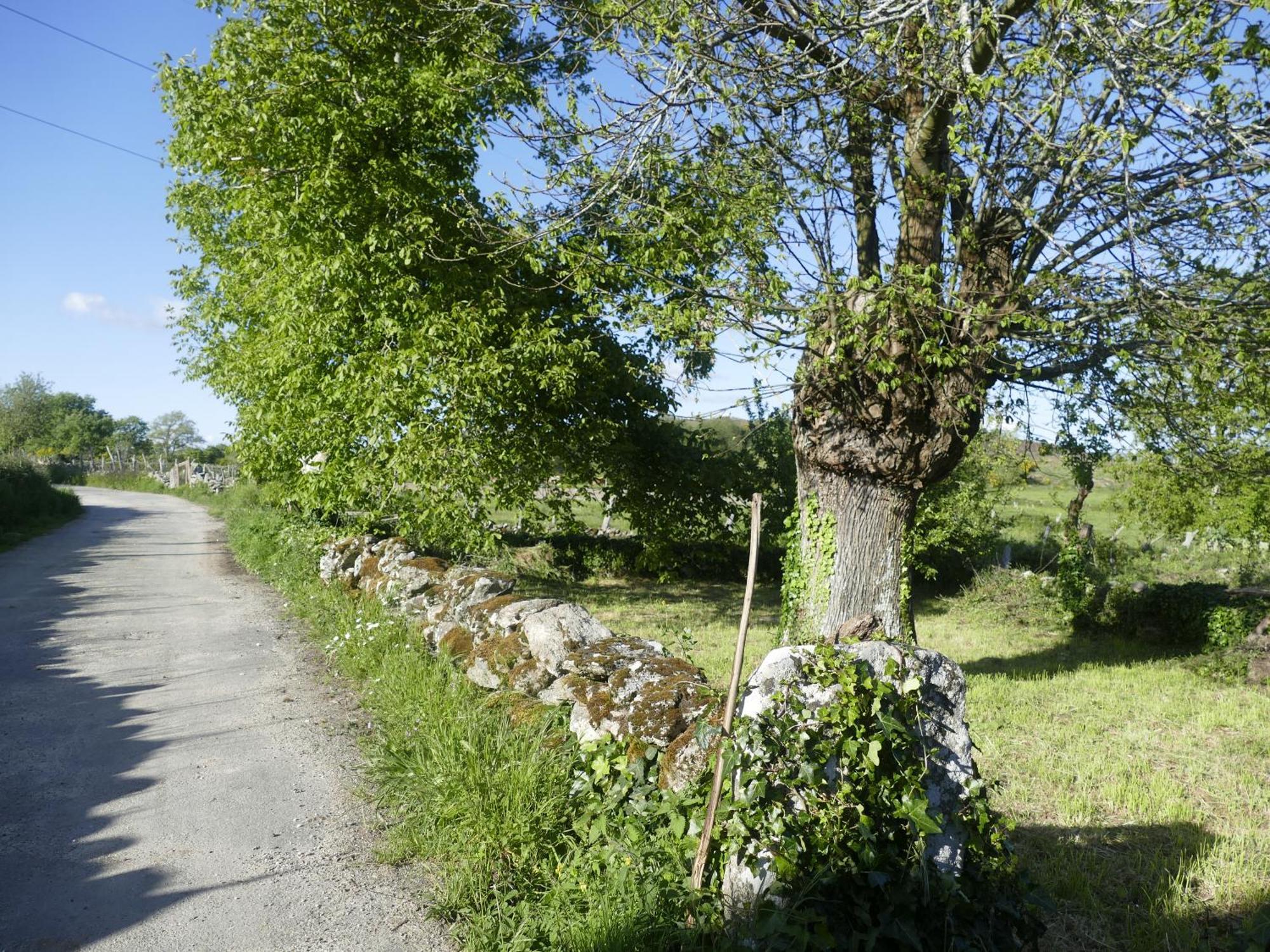 Pension O Corazon Da Ribeira Sacra La Teijeira Eksteriør bilde